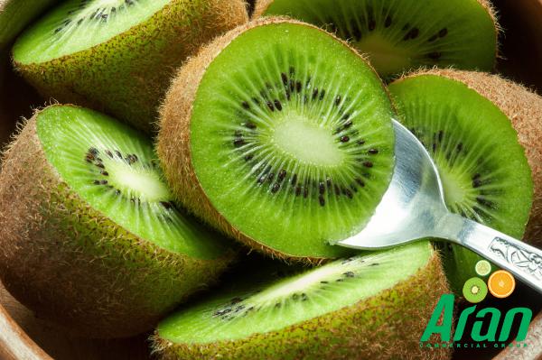 International Sellers of Organic Kiwi Fruit