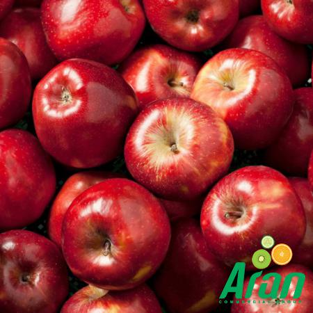 Red Delicious Apples at the Best Price