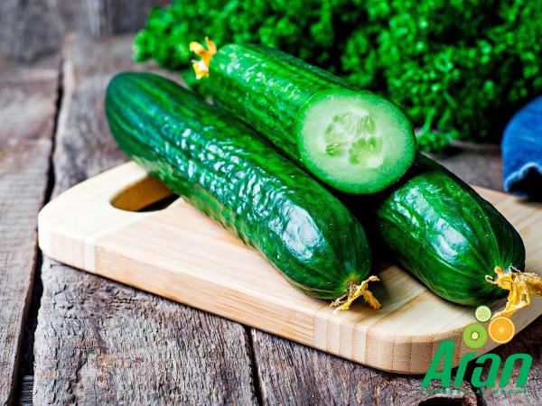 The Largest Sale Centers of Organic Cucumbers