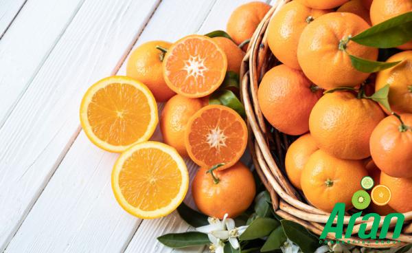 Types of Oranges Based on Quality and Taste