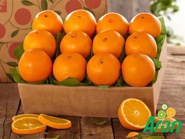 Guide to the Specifications of the Best Organic Oranges