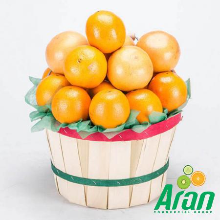 Wholesalers of High Quality Navel Oranges Fruit