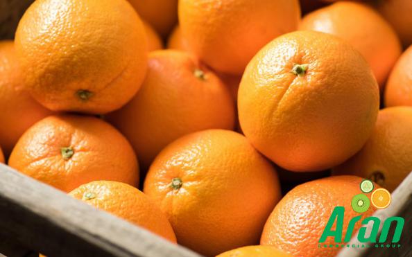 Oranges: Nutrition Facts and Properties