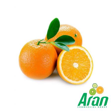 The Highest Quality Persian Oranges are Being Produced