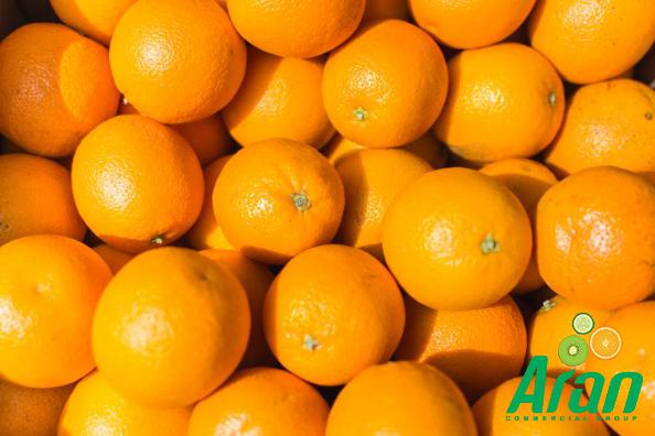 Major International Distributors of Ripe Oranges