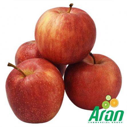 Buying Royal Gala Apples at the Best Price