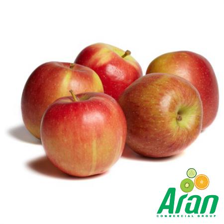 Direct Sale of Braeburn Apples