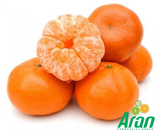 What is the Best Packaging for Exporting Oranges?