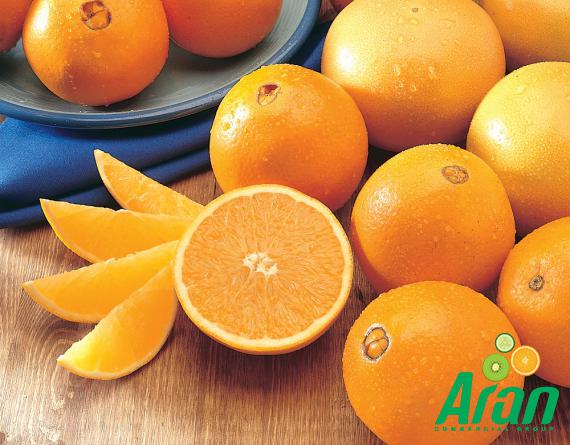 Main Suppliers and Distributors of Organic Oranges