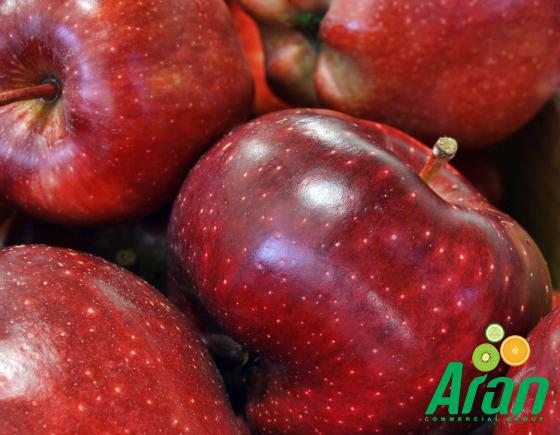 Valid Distributors of Red Gala Apples