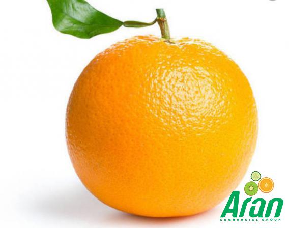 Sweet Orange Fruits at the Best Price