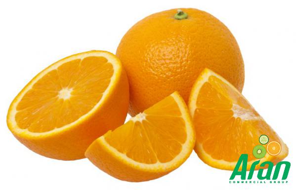 Best Fresh Oranges Wholesale Supplier