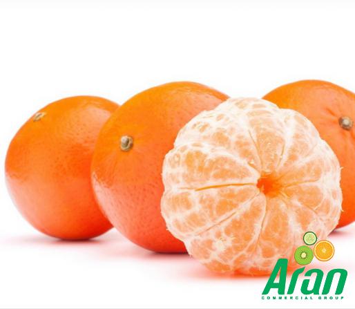 When is the Time for Sweet Orange Fruit to Grow?