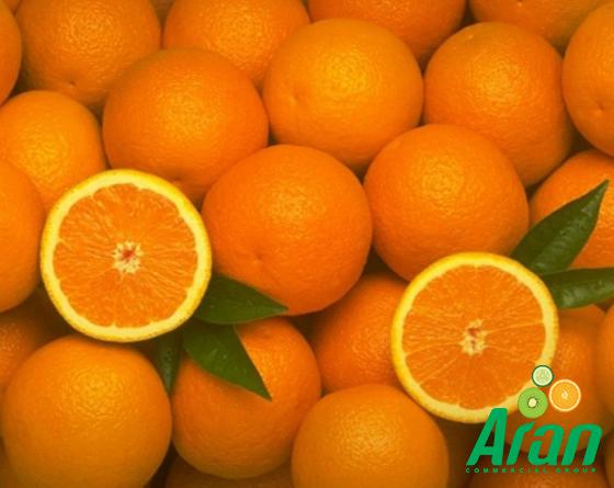 Different Types of Oranges Based on Color and Taste