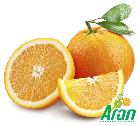 The Best Type of Fresh Oranges for Sale in the Fruit Market