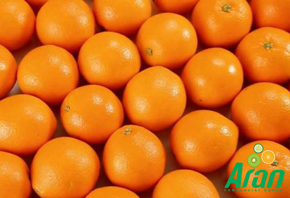 Main Suppliers of Quality Fresh Orange Fruit