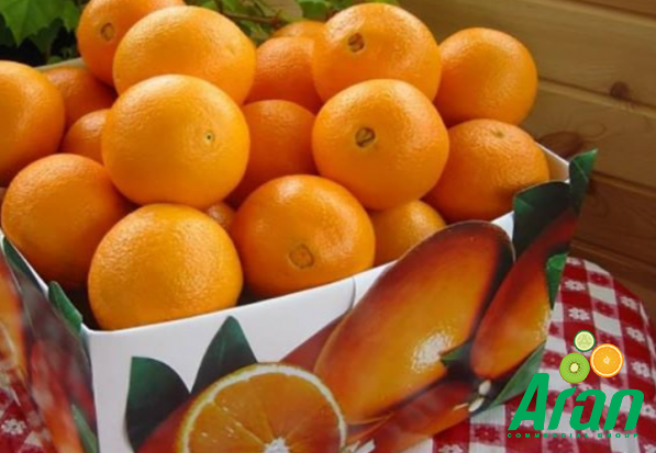 How to Use Fresh Orange in Your Daily Diet