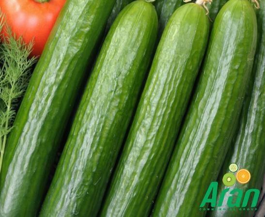 Use Cucumbers to Improve Your Body Health Status