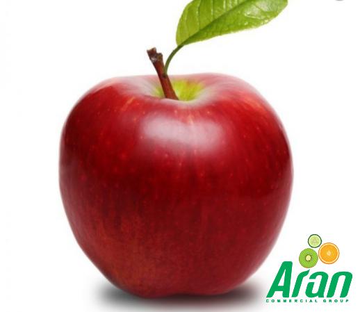 Gala Apple Fruit at Wholesale Price