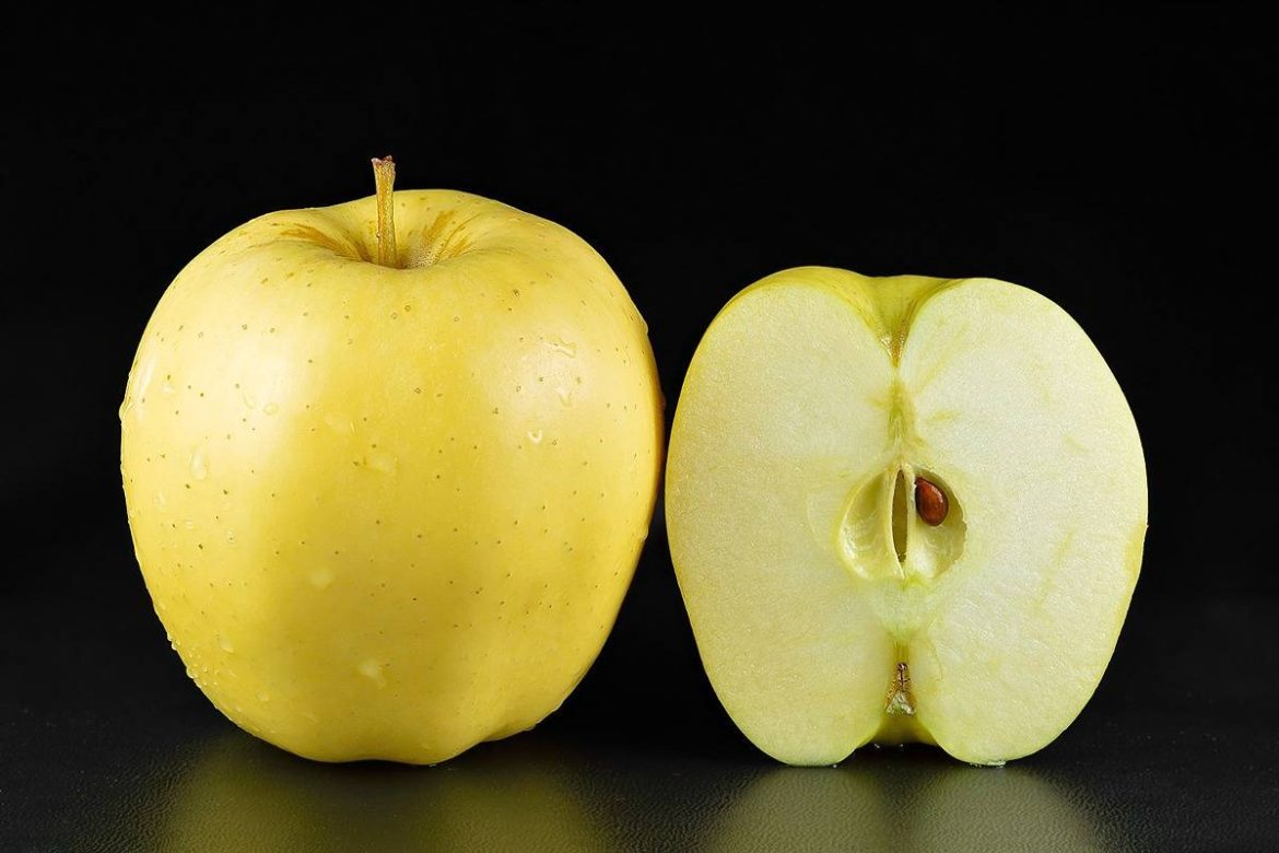 Yellow Apple Fruit Tree Information That Surprises You