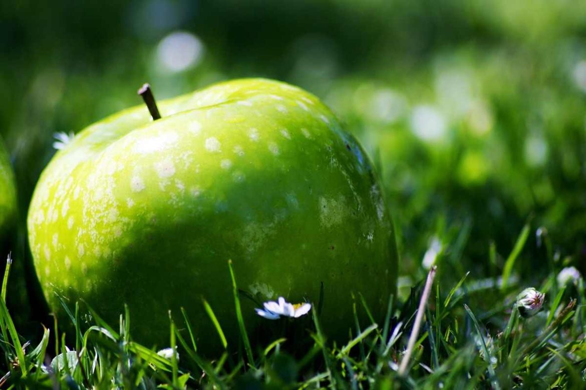 What fruit looks like a green apple