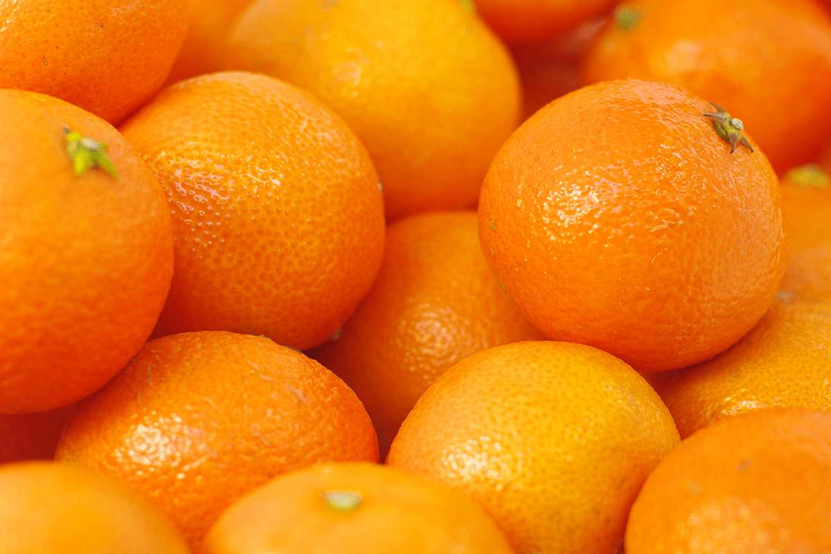 calories in navel orange