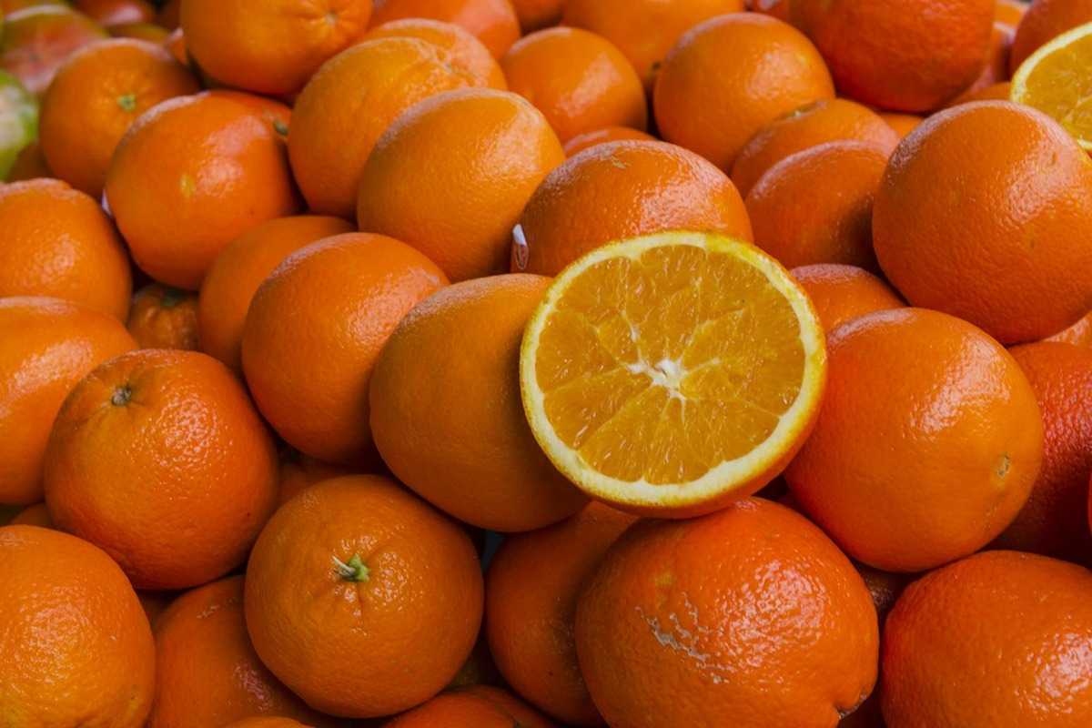 calories in navel orange