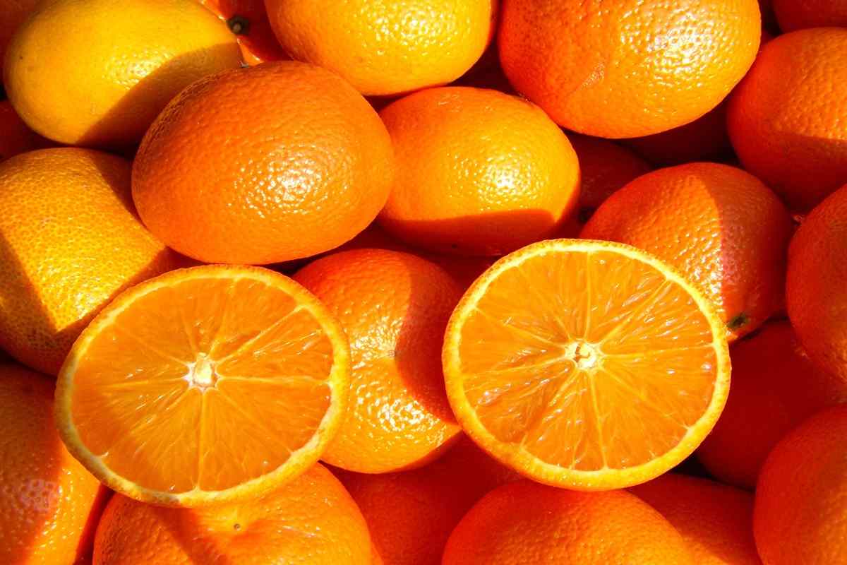 calories in navel orange