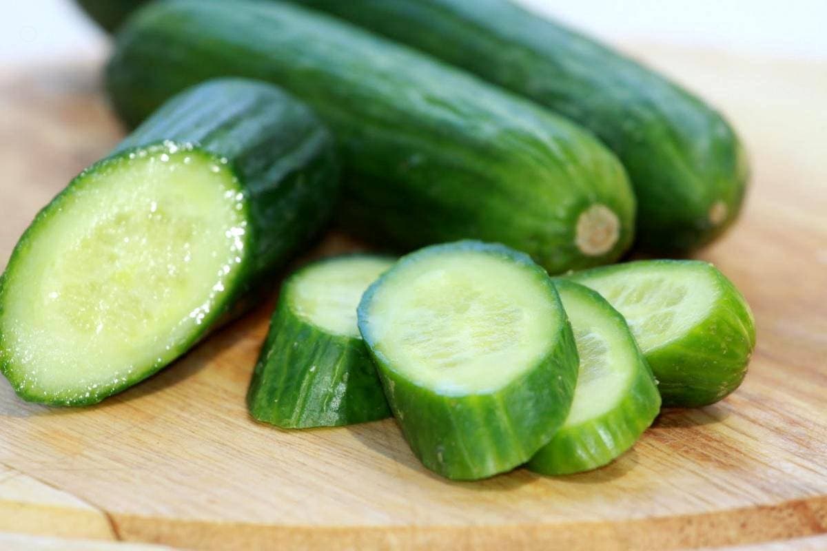  Burpless Supreme Cucumber; Soft Skin Dark Green Color Reducing Digestive Issues 