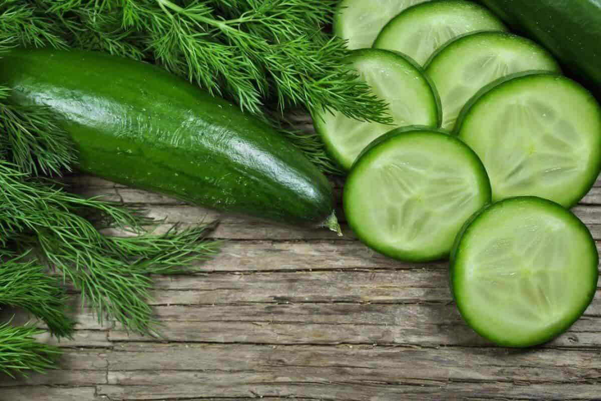  Burpless Supreme Cucumber; Soft Skin Dark Green Color Reducing Digestive Issues 