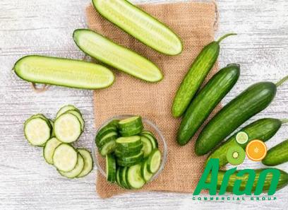 Price and purchase burpless cucumber yellow with complete specifications