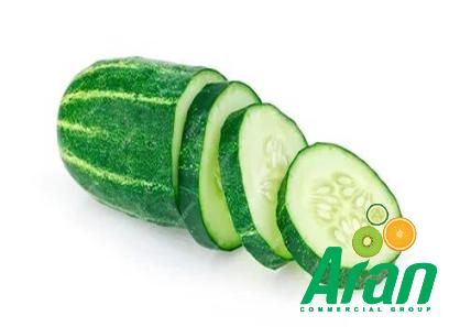 green Armenian cucumber buying guide with special conditions and exceptional price