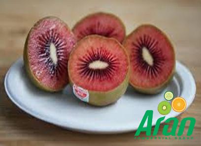 Red Kiwi specifications and how to buy in bulk