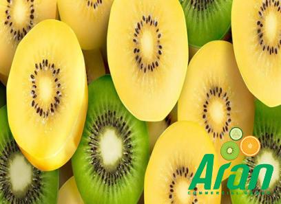 The price of bulk purchase of kiwi fruit yellow inside is cheap and reasonable