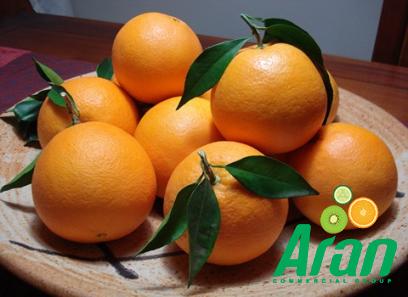 Price and purchase Valencia Oranges with complete specifications