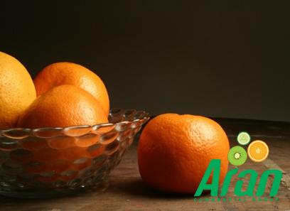 Bulk purchase of blood oranges new zealand with the best conditions