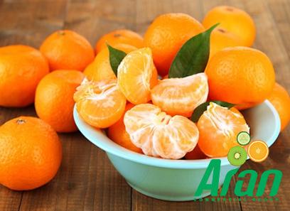 Mandarin Oranges acquaintance from zero to one hundred bulk purchase prices