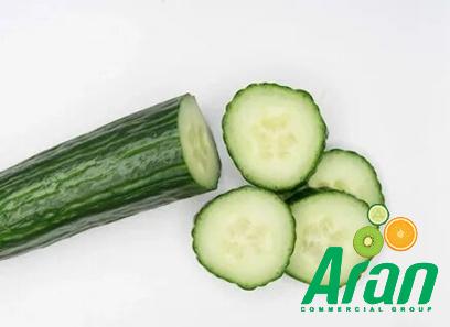 Price and purchase green Specialty cucumbers with complete specifications