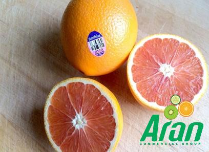 Cara Cara Oranges acquaintance from zero to one hundred bulk purchase prices