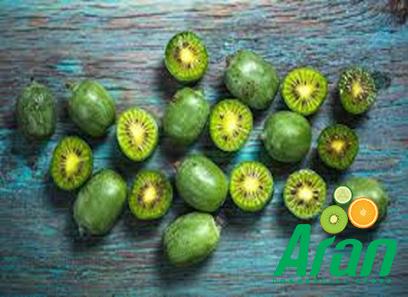 small kiwi fruit price list wholesale and economical