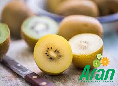 golden yellow kiwi specifications and how to buy in bulk