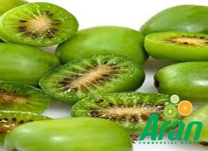 hardy kiwi north florida acquaintance from zero to one hundred bulk purchase prices