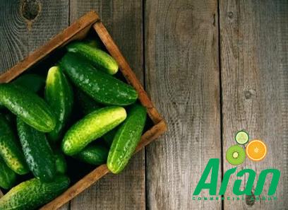 cucumber Mexico specifications and how to buy in bulk