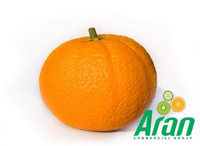 The price of bulk purchase of Navel Oranges is cheap and reasonable