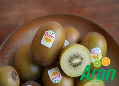 Bulk purchase of sungold kiwi with the best conditions