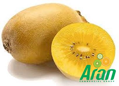 frozen golden kiwi buying guide with special conditions and exceptional price