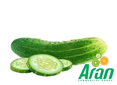 green french cucumber specifications and how to buy in bulk